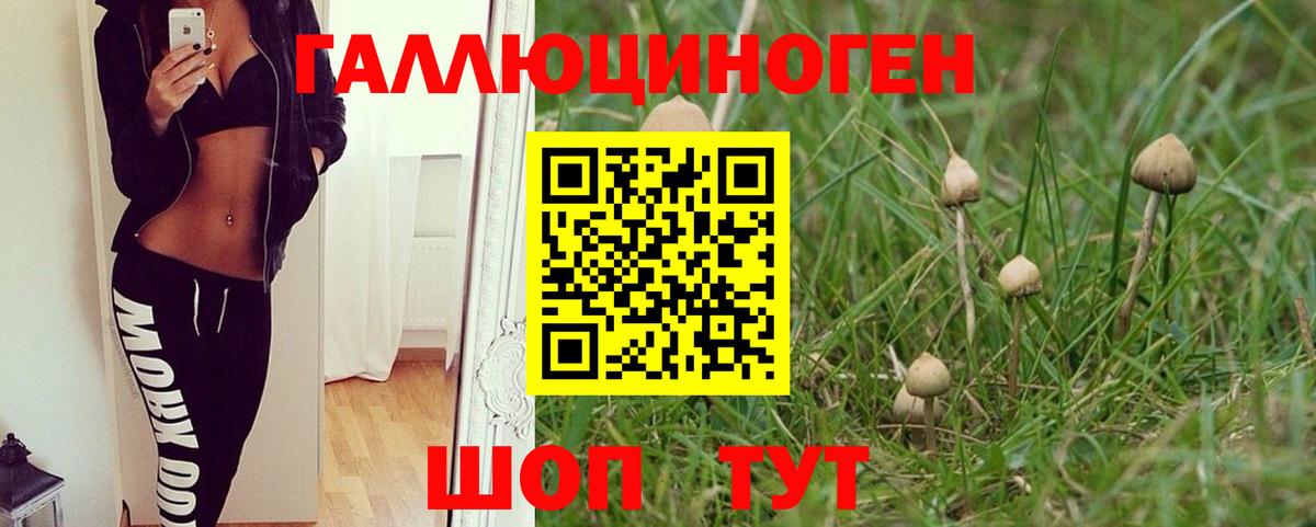 Псилоцибиновые грибы Cubensis  Вход с VPN  закладка  Кунгур 